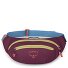 Daylite Taille Riem Tas 45 cm variant moody burgundy Daylite Taille Riem Tas 45 cm variant moody burgundy
