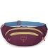  Daylite Fanny pack 45 cm variant moody burgundy