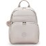  Basic Plus Dagrugzak 40 cm Laptopvak variant metallic glow