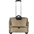  2 wielen Zakelijke trolley 41 cm Laptopvak variant champagner