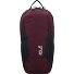  Velocity Lite Wandelrugzak 41 cm variant amaranth