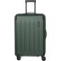  Dynamiic 4 wielen Trolley 66 cm met uitbreidingsplooi variant grün