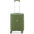  Skyline 2.0 Neon 4 wielen Cabinewagen 55 cm variant oliva