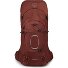  Aether 65 Trekking rugzak S-M 80 cm variant acorn red