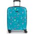  Acqua 4 wielen Cabinewagen 55 cm variant turquesa