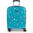 Acqua 4 wielen Cabinewagen 55 cm variant turquesa Acqua 4 wielen Cabinewagen 55 cm variant turquesa