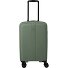  Air Stripe 4 wielen Cabinewagen 55 cm variant green