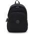 Basic Elevated Delia Dagrugzak 41 cm variant infinite black