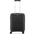  B-Flying Neon 4 wielen Cabinewagen 55 cm variant nero