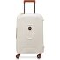  Moncey 4 wielen Cabinewagen 55 cm variant angora