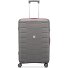  Skyline 2.0 Neon 4 wielen Trolley 70 cm variant grau
