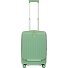  Positano 4 wielen Cabinewagen 55 cm met uitbreidingsplooi variant sage