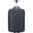  Pavris Plus 2-wiel rugzak trolley 51 cm laptopvak variant grau