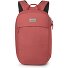  Arcane Dagrugzak 45 cm Laptopvak variant red pampas