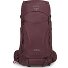  Kyte 38 Trekking rugzak XS-S 71 cm variant elderberry purple