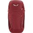  Alp Trainer 20L Rugzak 55 cm variant syrah