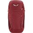 Alp Trainer 20L Rugzak 55 cm variant syrah Alp Trainer 20L Rugzak 55 cm variant syrah