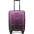  Crate EX Wildlife 4 wielen Cabinewagen 55 cm variant ascendinggrape