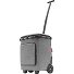  Carrycruiser Plus Winkelwagen 52.5 cm variant frame twist silver