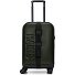 Texel 4 wielen Cabinewagen 55 cm variant green Texel 4 wielen Cabinewagen 55 cm variant green