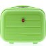  0800 Beautycase 34 cm variant light green