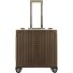  Luxe zakelijke trolley met 4 wielen, Aluminium, 45 cm variant bronze