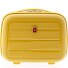  0800 Beautycase 34 cm variant yellow