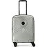  Radar 4 wielen Cabinewagen 55 cm variant plata