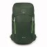  Jet 28 Wandelrugzak 55 cm variant green canopy-limeline green