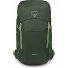  Jet 28 Wandelrugzak 55 cm variant green canopy-limeline green